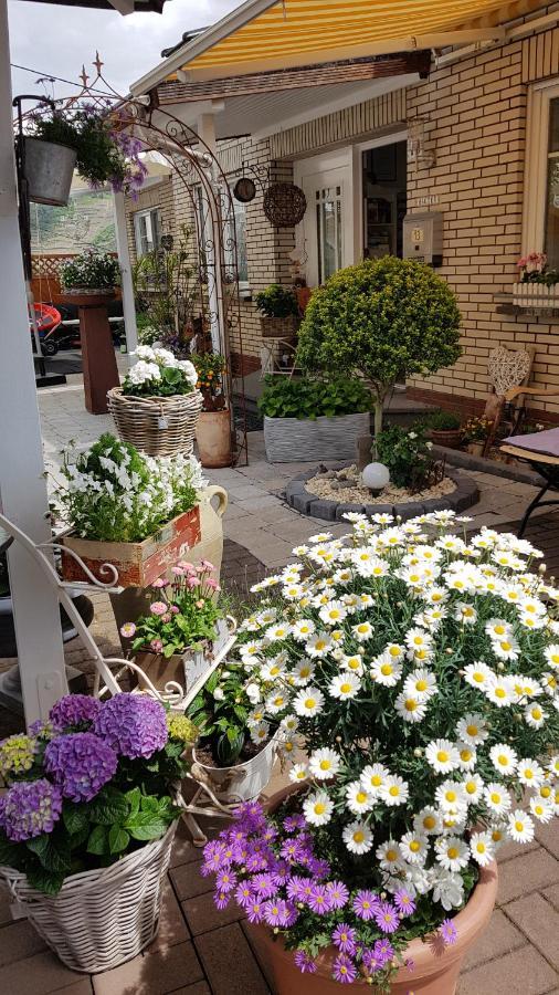 Landhaus Julia Kobern-Gondorf Dış mekan fotoğraf